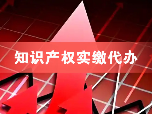 冷水江知识产权实缴资本代办